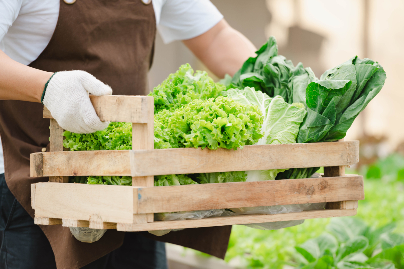 Seasonal Vegetables Delivered to your Door Aberdeen, Stonehaven, Banchory, Kintore, Newmachar, Balmedie, Potterton