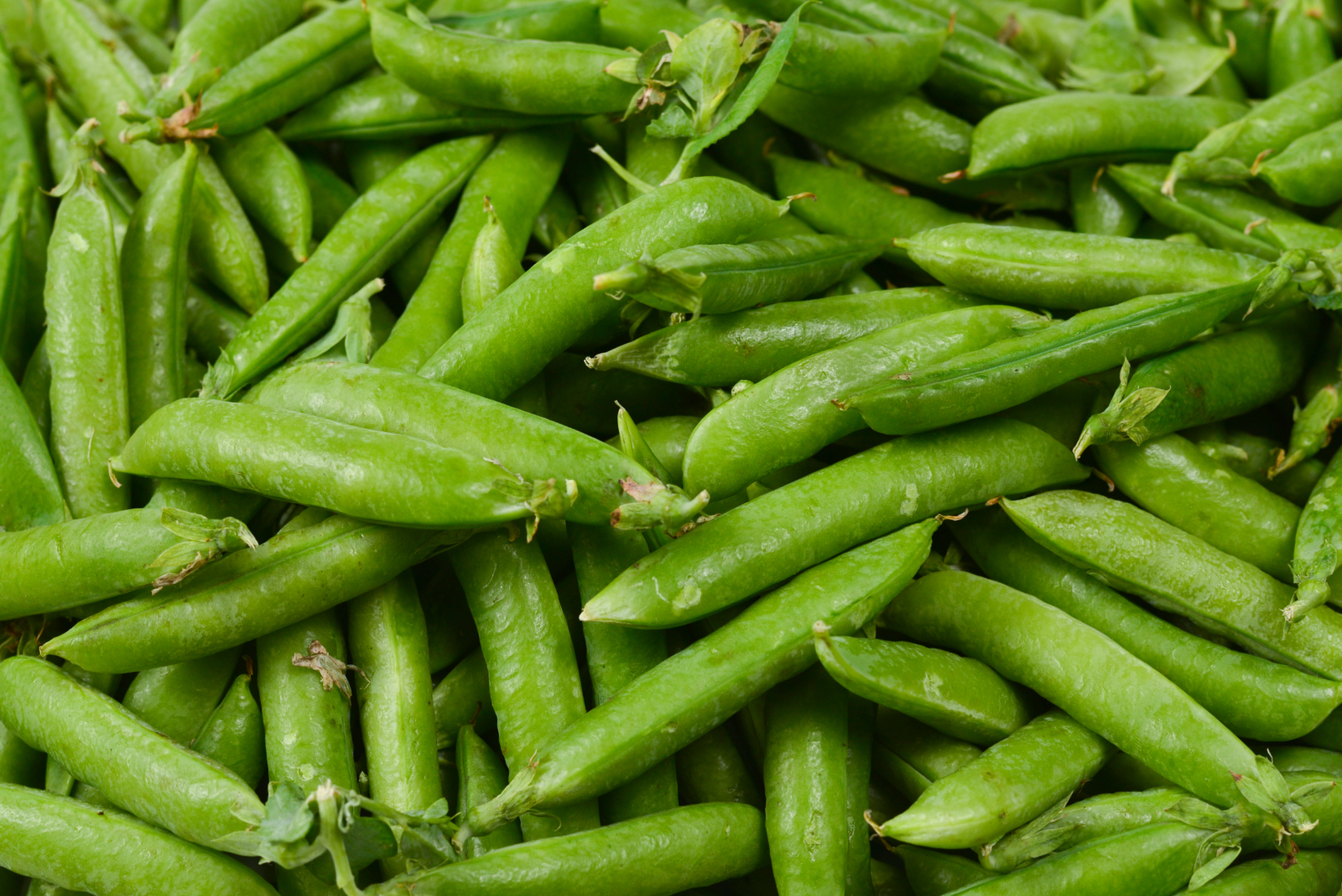 Peas - Fastest Growing Vegetables Uk