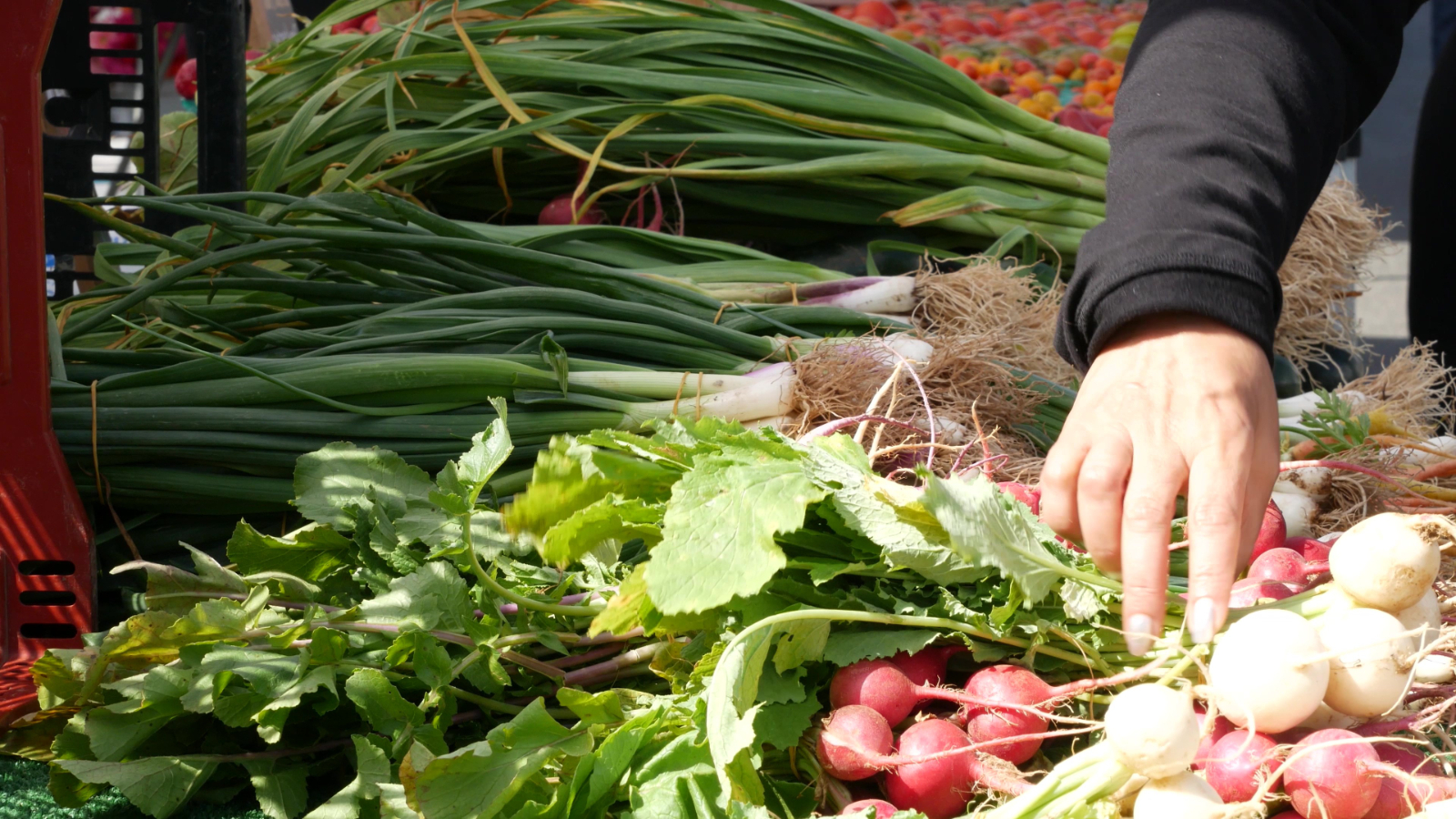 Asparagus - Seasonal Vegetables Uk