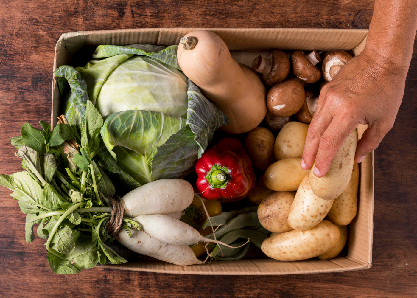 Vegetable Box Delivery Aberdeen, Stonehaven, Banchory, Kintore, Newmachar, Balmedie, Potterton