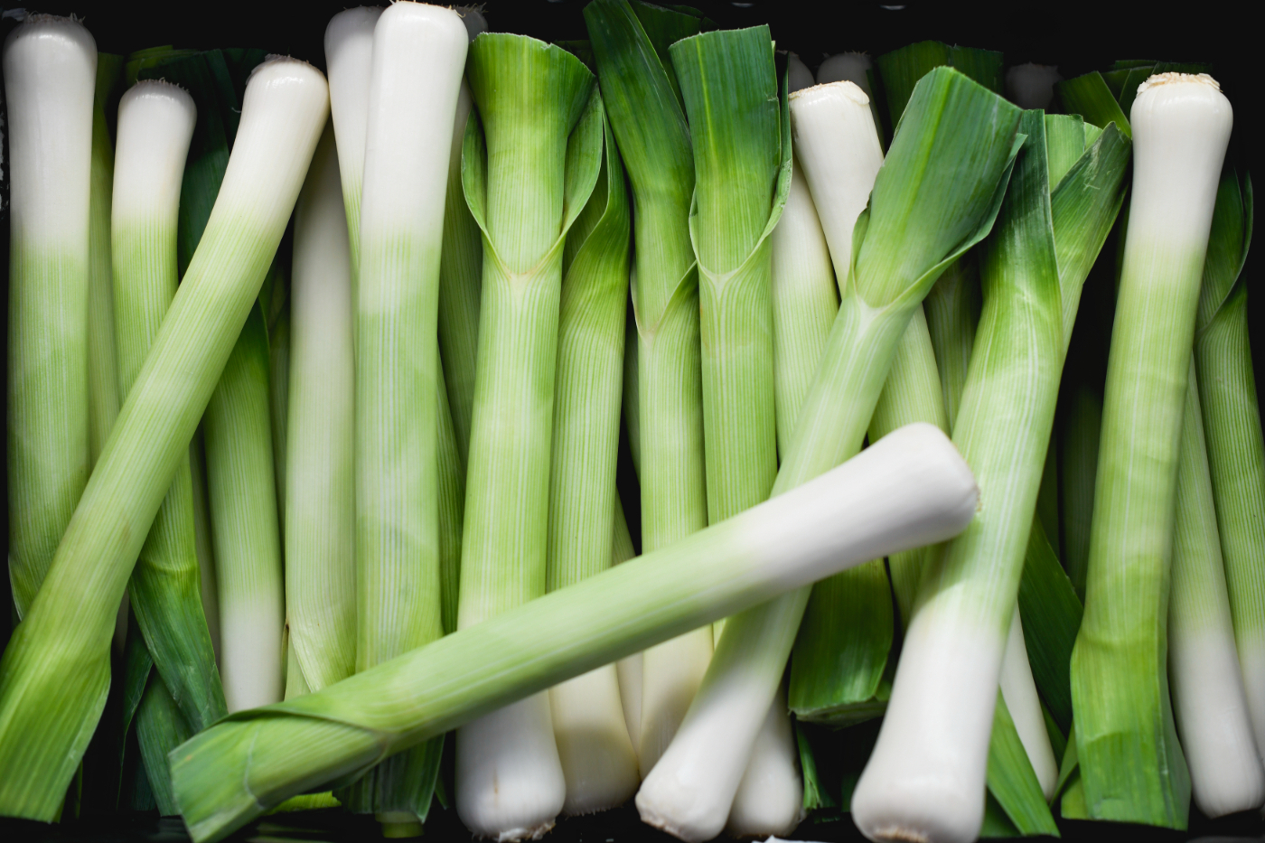 Fresh Vegetables Near Me Aberdeen and Aberdeenshire