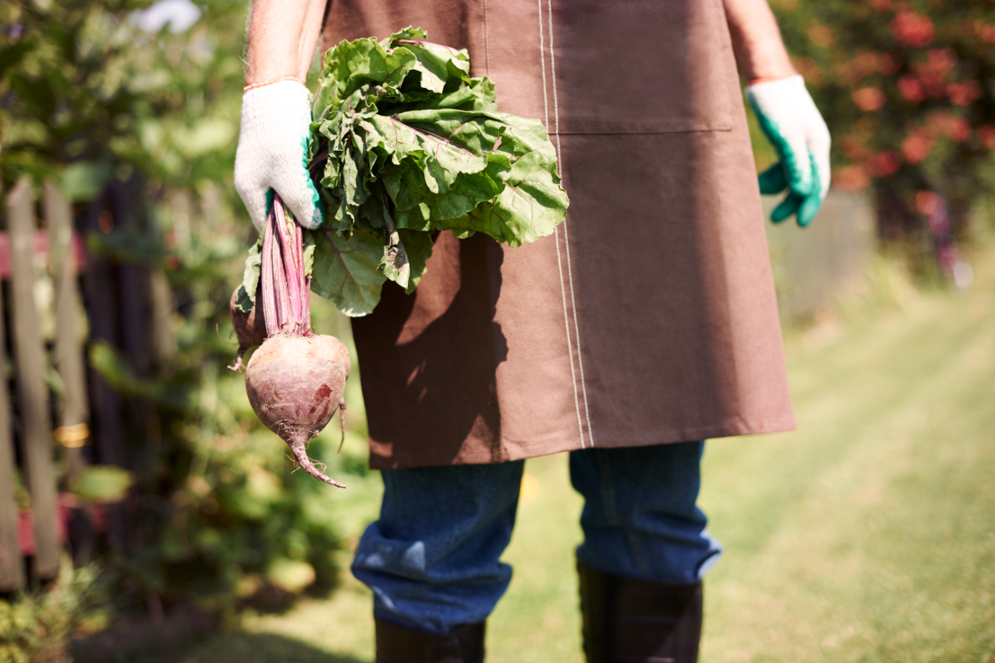 Our Vegetable Deliveries In Aberdeen, Stonehaven, Banchory, Kintore, Newmachar, Balmedie And Potterton